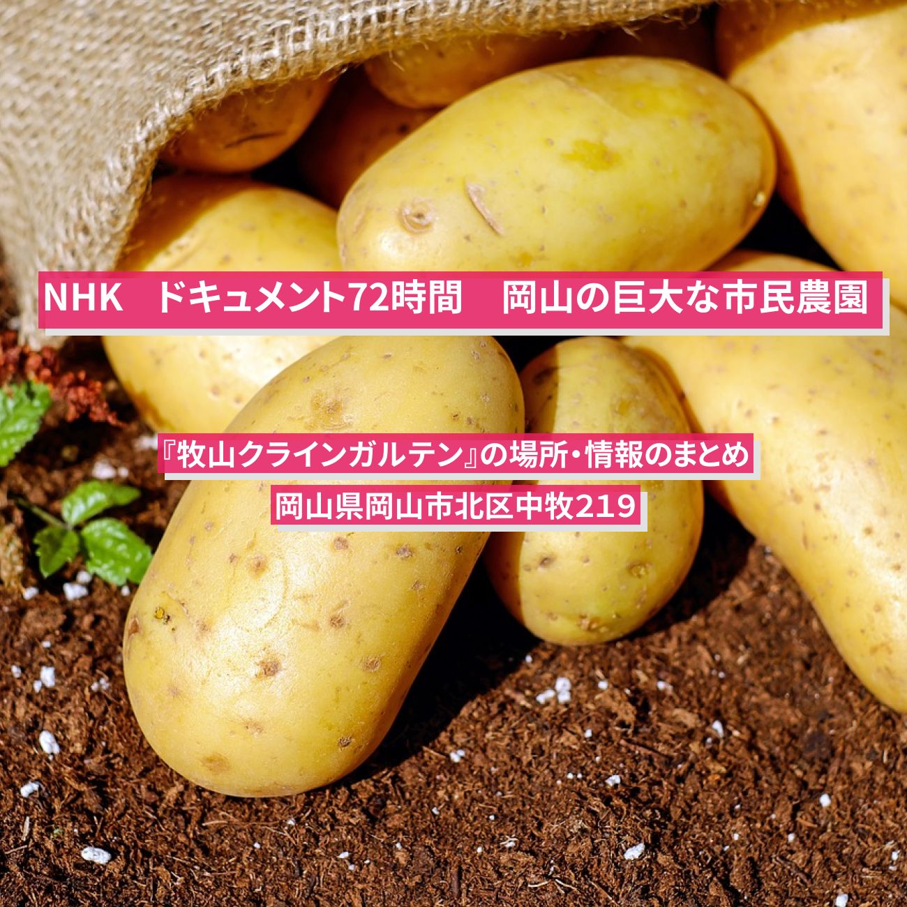 【NHK ドキュメント72時間】岡山の巨大な市民農園『牧山クラインガルテン』の場所・情報のまとめ