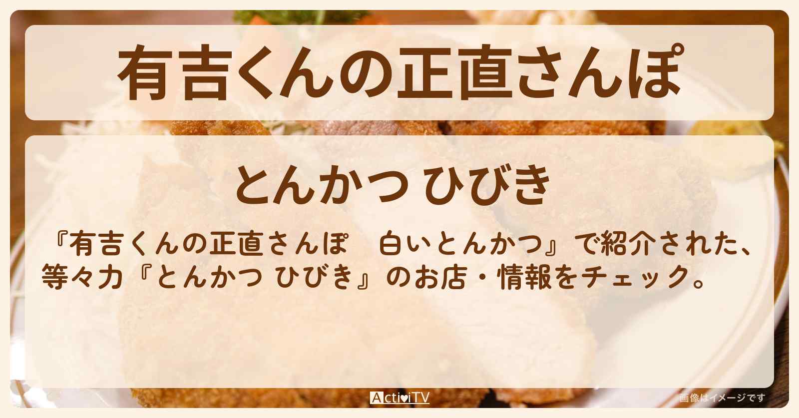 【白いとんかつ】等々力『とんかつ ひびき』のお店・情報を紹介〔びびる大木・井桁弘恵〕