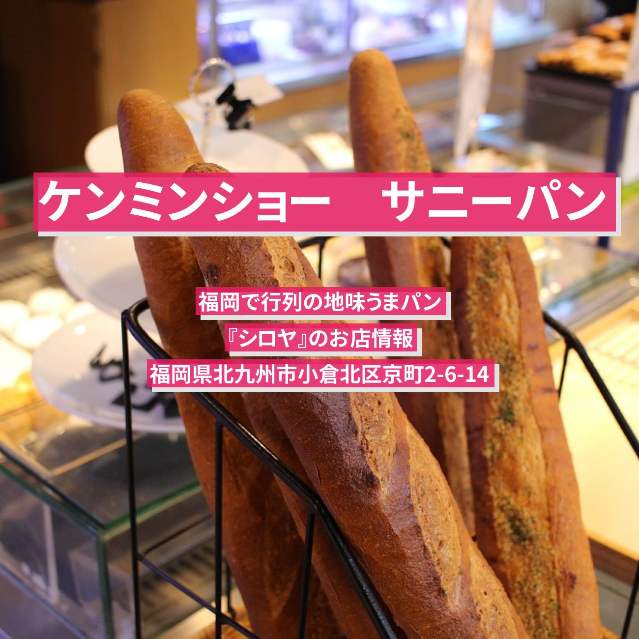 【ケンミンショー　サニーパン】福岡で行列の地味うまパン『シロヤ』のお店情報〔秘密のケンミンSHOW〕