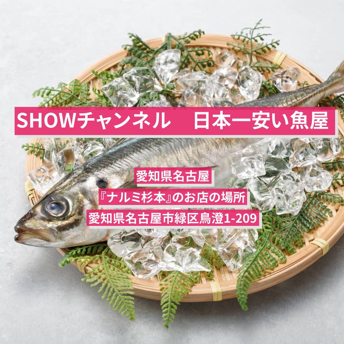 【SHOWチャンネル】日本一安い魚屋　愛知県名古屋『ナルミ杉本』のお店の場所