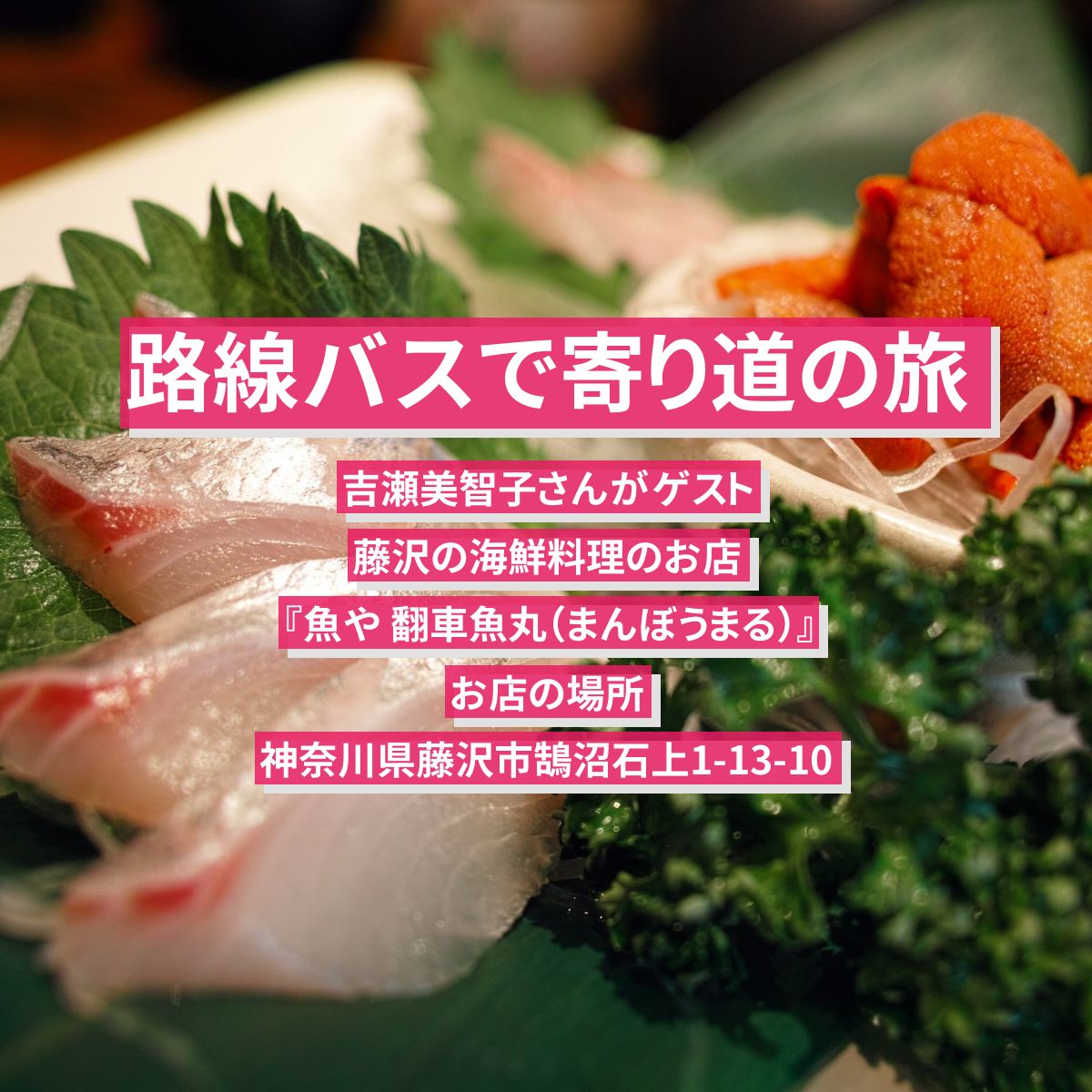 【路線バスで寄り道の旅】藤沢の海鮮料理（刺身・金目鯛）吉瀬美智子さんがロケ『魚や 翻車魚丸（まんぼうまる）』お店の場所