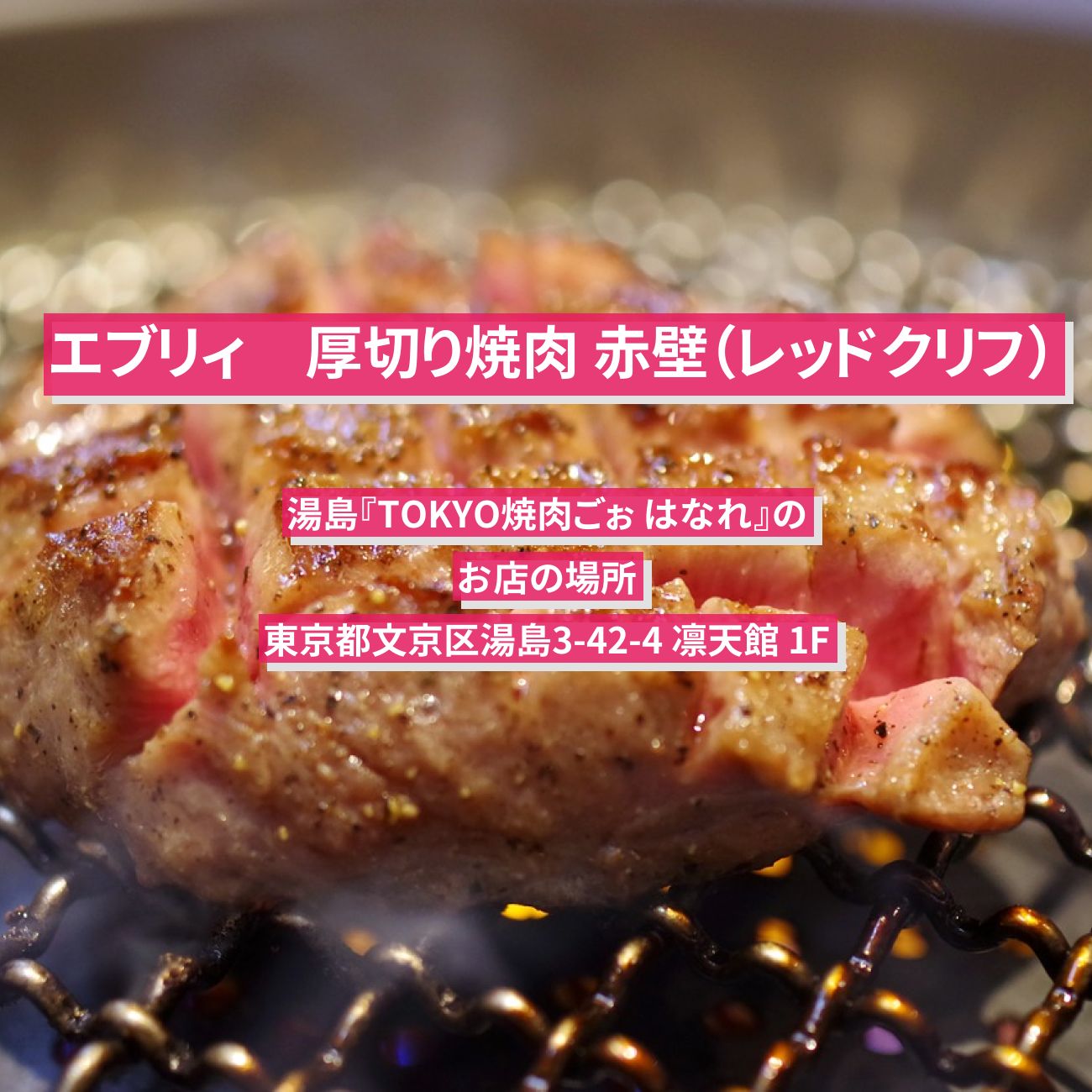 【エブリィ】厚切り焼肉 赤壁（レッドクリフ）湯島『TOKYO焼肉ごぉ はなれ』のお店の場所〔every〕