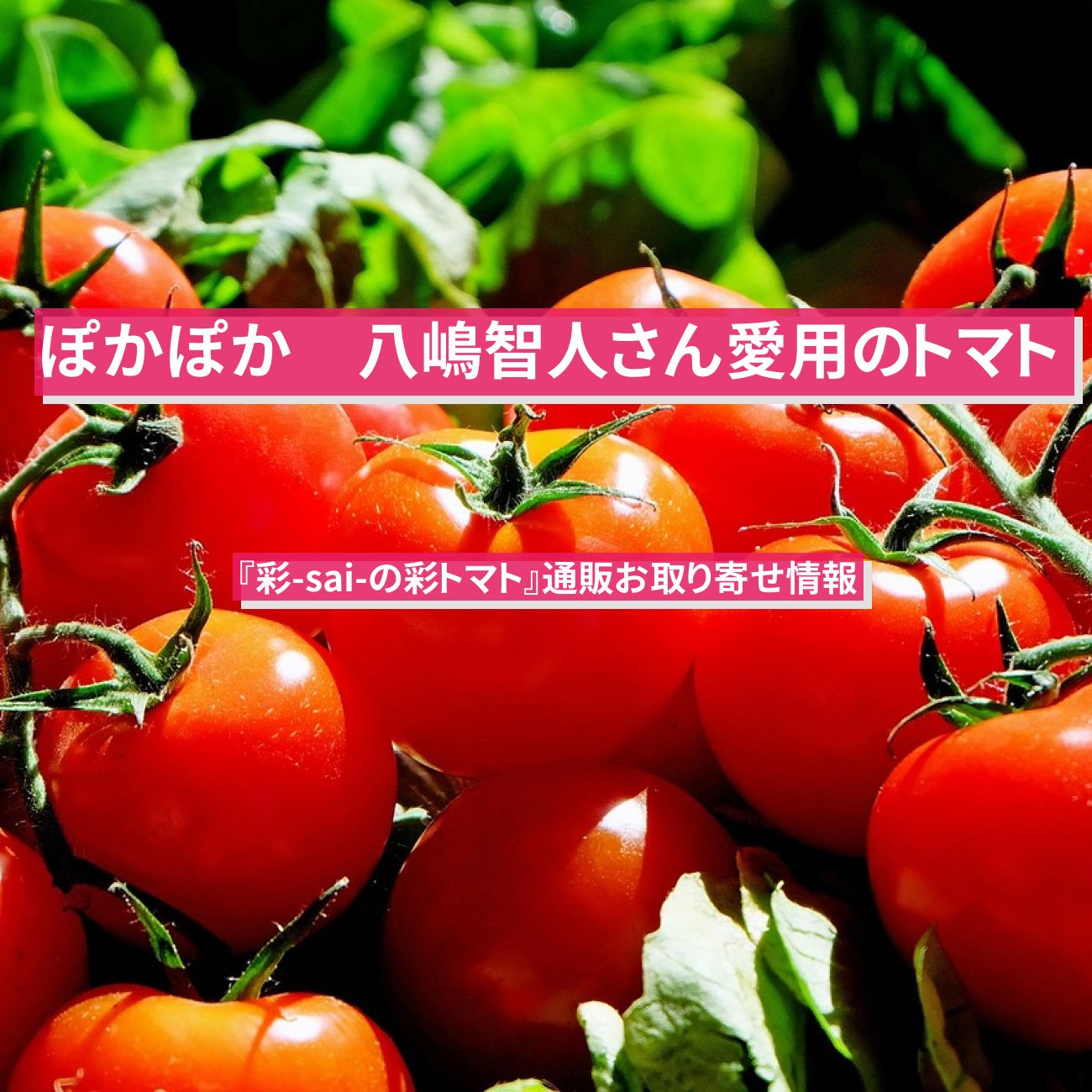 【ぽかぽか】トマト　八嶋智人さん愛用『彩-sai-の彩トマト』通販お取り寄せ情報