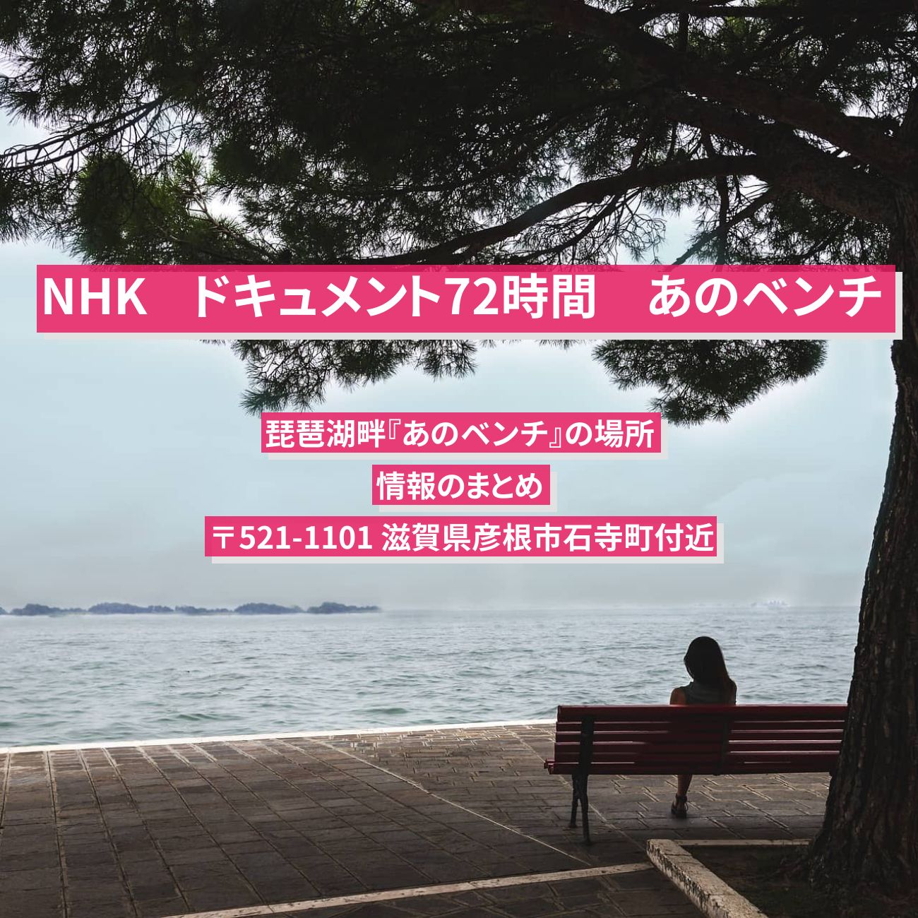 【NHK ドキュメント72時間】琵琶湖畔『あのベンチ (滋賀県彦根市)』の場所・情報のまとめ