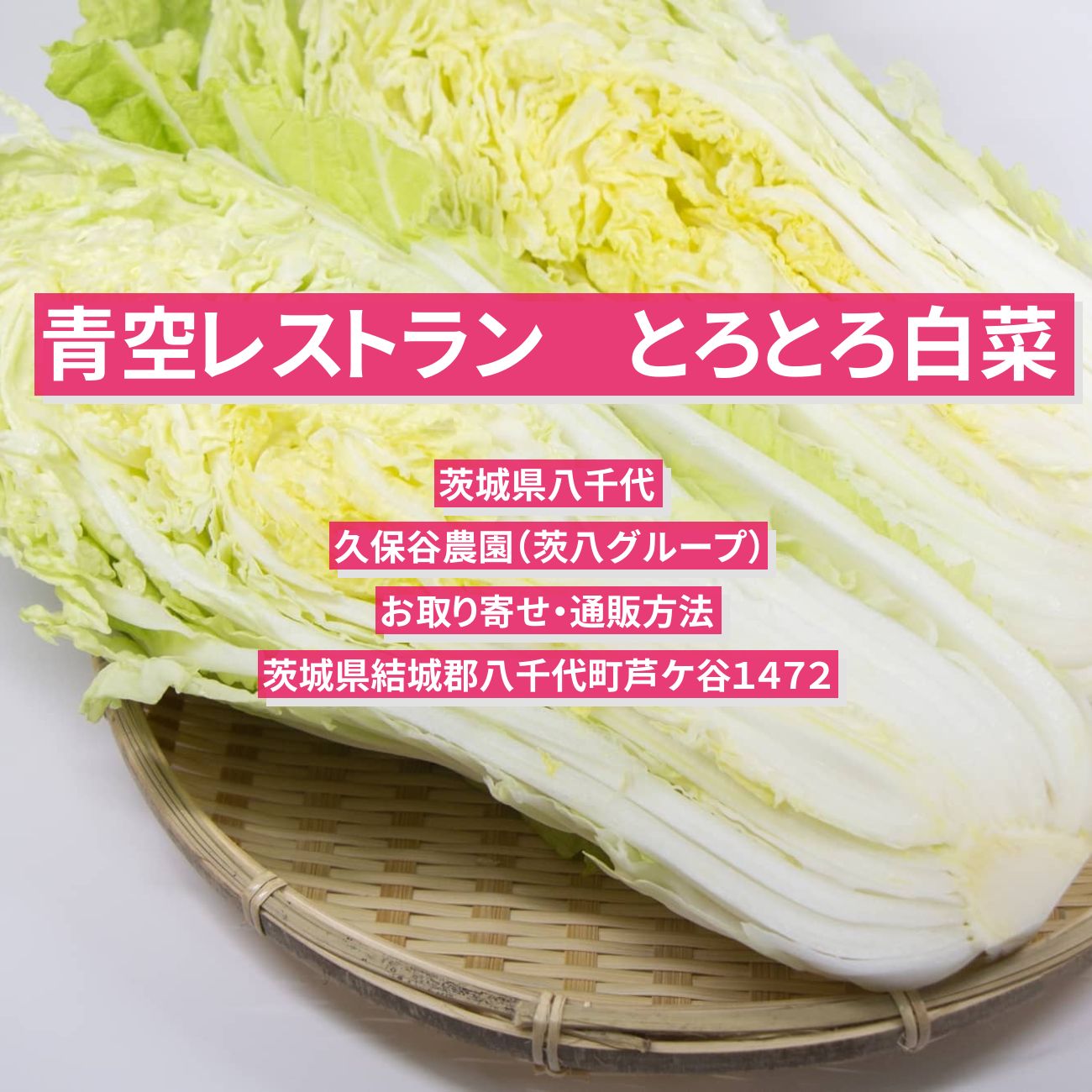 【青空レストラン】とろとろ白菜『久保谷農園（茨八グループ）』茨城県八千代のお取り寄せ・通販方法
