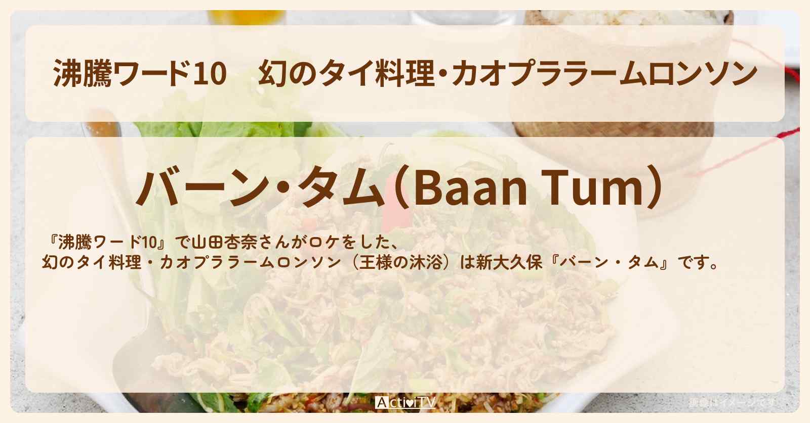 幻のタイ料理・カオプララームロンソン　山田杏奈　新大久保『バーン・タム』のお店の場所〔王様の沐浴〕