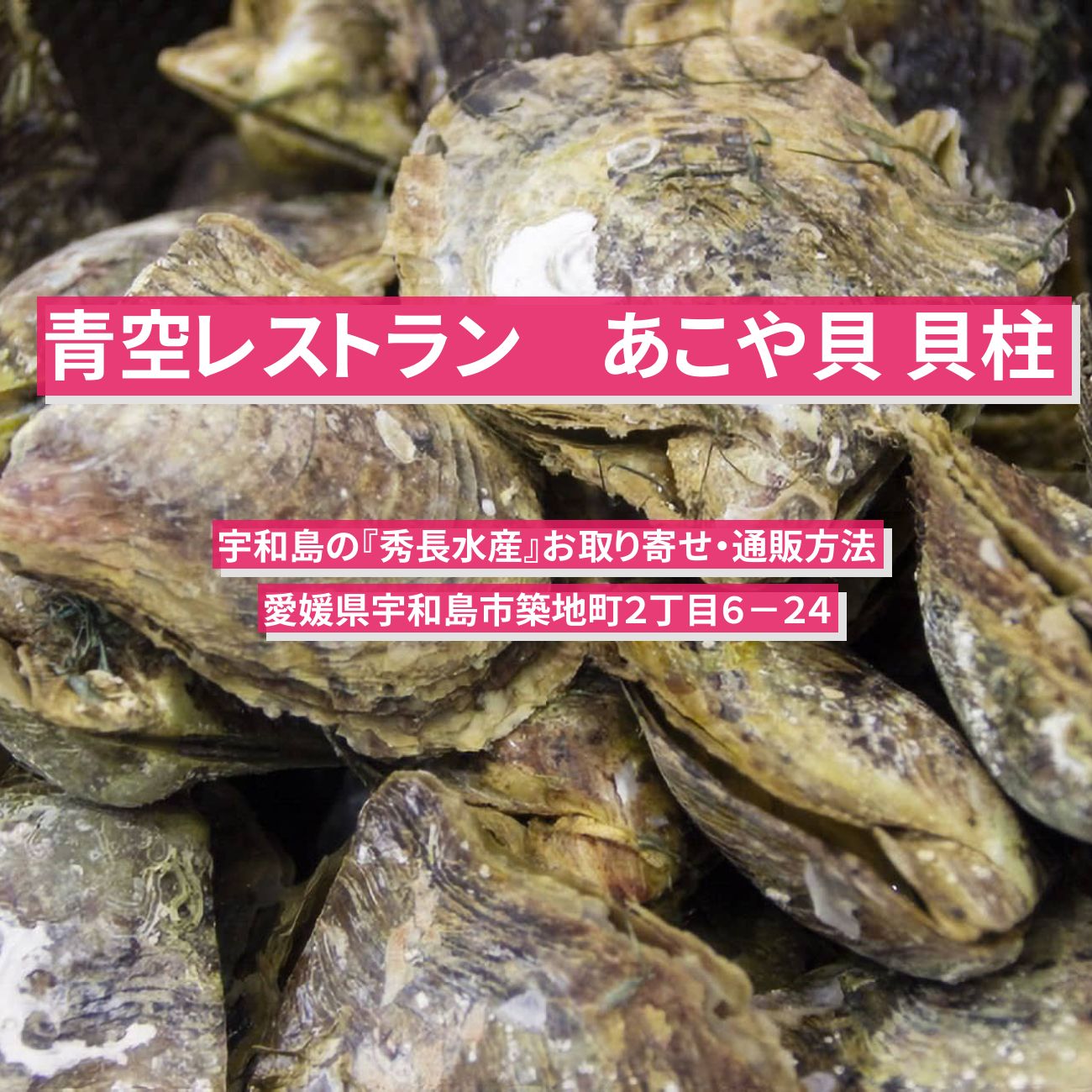 【青空レストラン】あこや貝 貝柱『秀長水産』宇和島のお取り寄せ通販・レシピ情報
