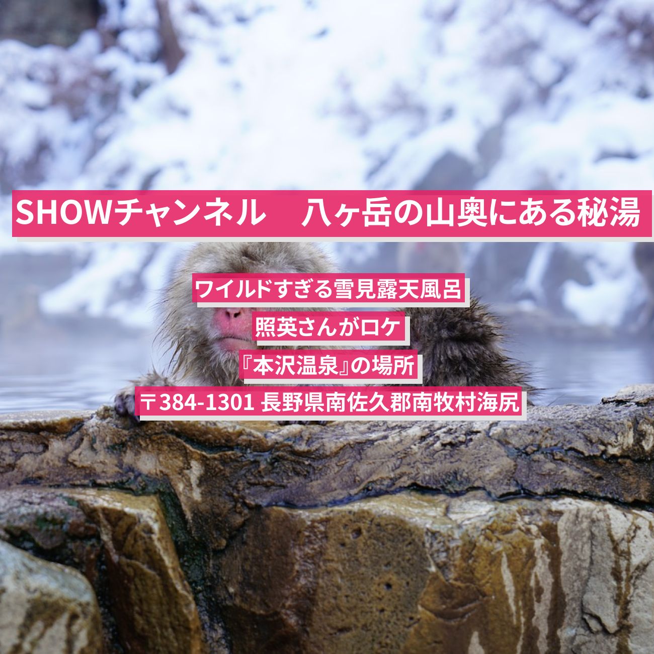 【SHOWチャンネル】八ヶ岳の山奥にある秘湯『本沢温泉』ワイルドすぎる雪見露天風呂の場所〔照英〕