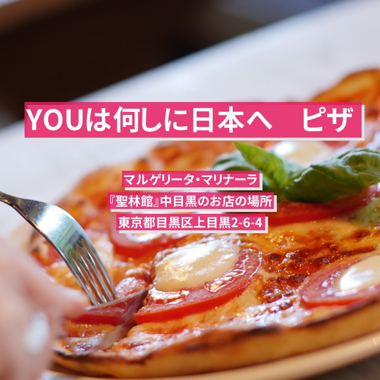 【YOUは何しに日本へ】ピザ(マルゲリータ・マリナーラ)『聖林館』中目黒のお店の場所
