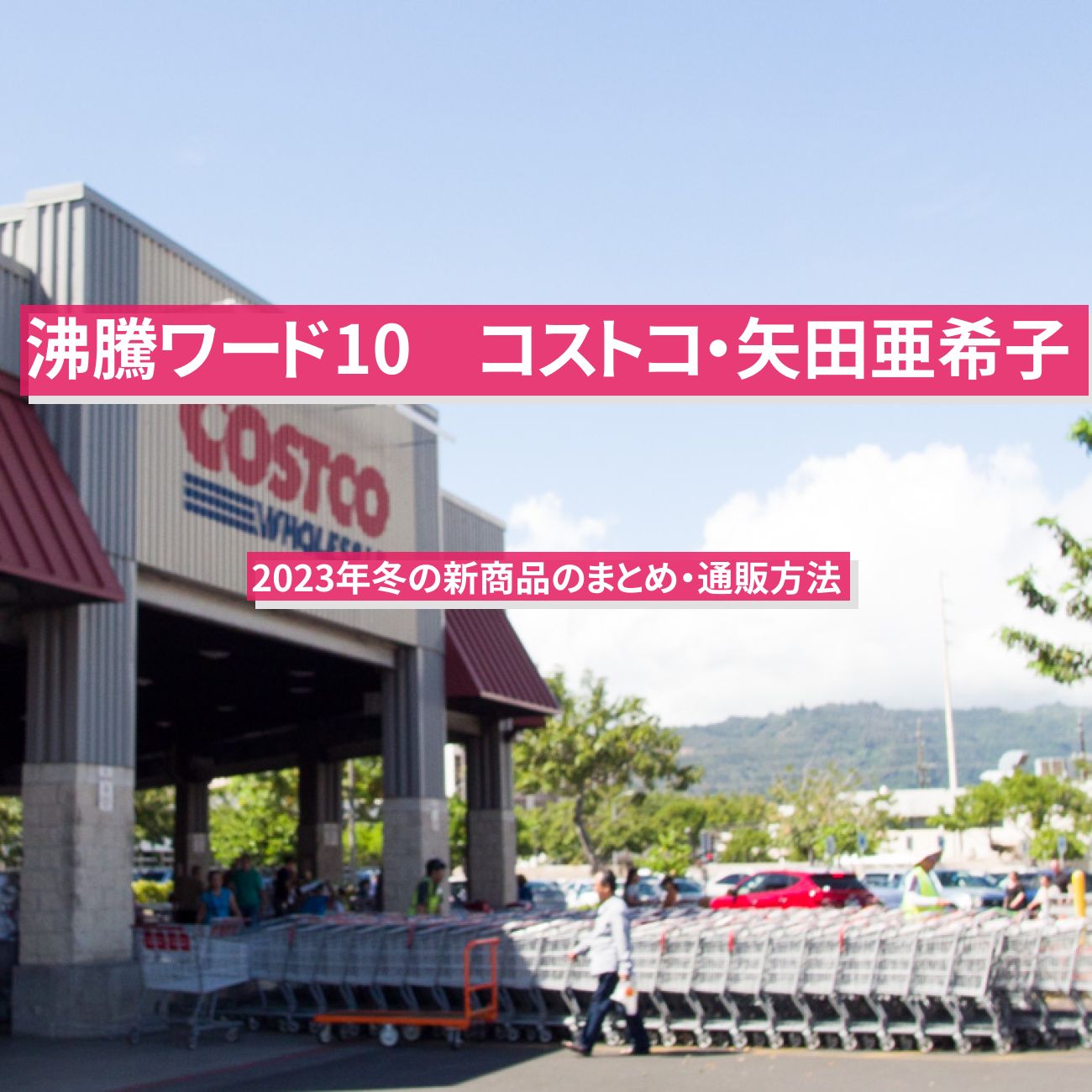 【沸騰ワード10】コストコ・矢田亜希子　2024年冬の新商品のまとめ・通販方法