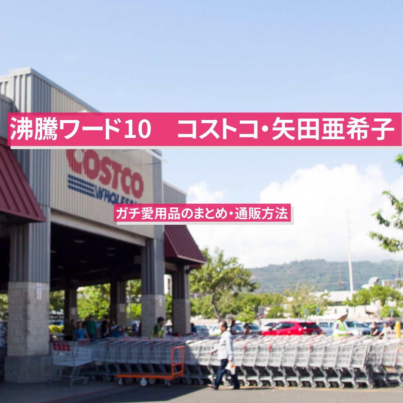 【沸騰ワード10】コストコ・矢田亜希子のガチ愛用品のまとめ・通販方法