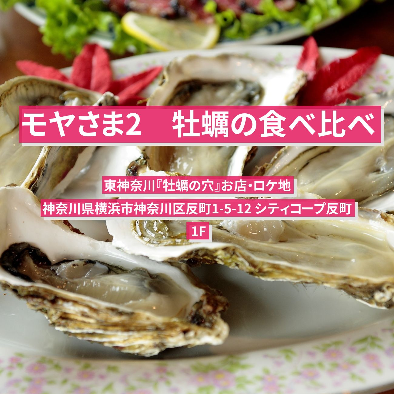 【モヤさま2】牡蠣の食べ比べ『牡蠣の穴』東神奈川駅のお店・ロケ地