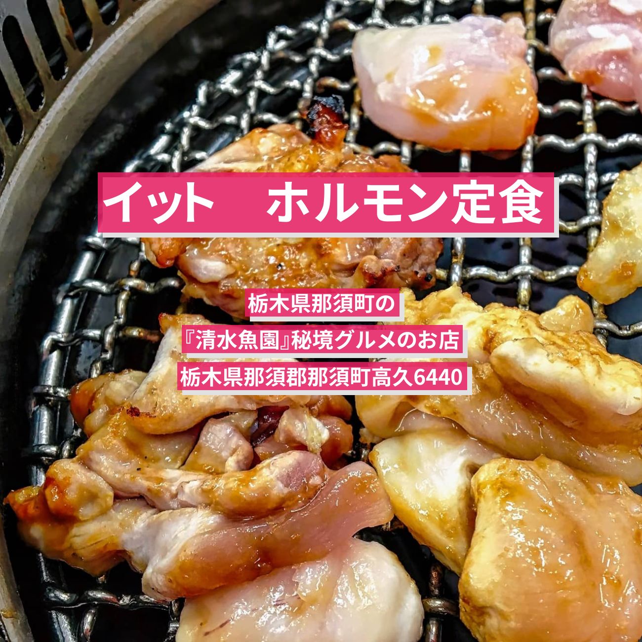 【イット】ホルモン定食『清水魚園』栃木県那須町の秘境グルメのお店