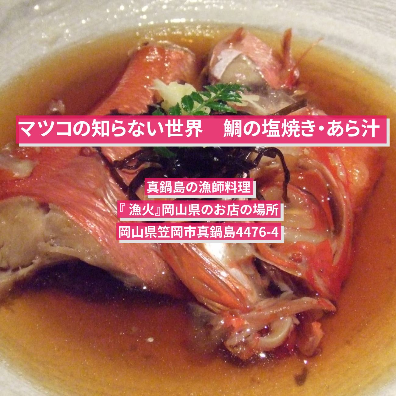 【マツコの知らない世界】鯛の塩焼き・あら汁　真鍋島の漁師料理『 漁火』岡山県のお店の場所