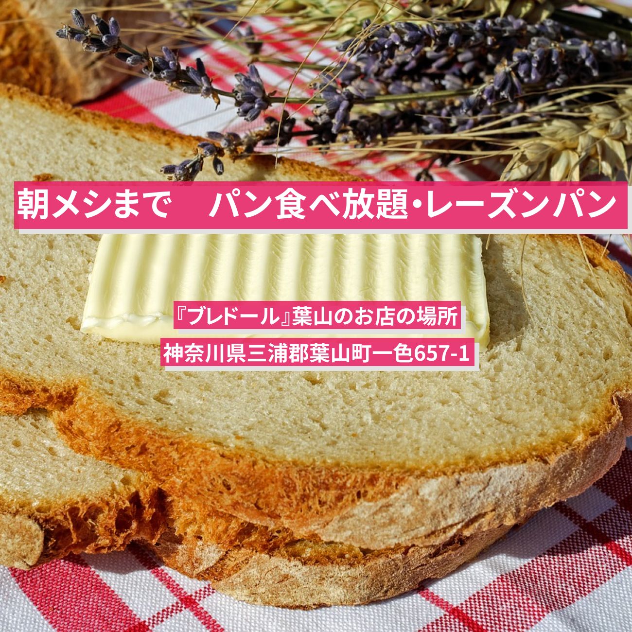 【朝メシまで】葉山のパン食べ放題・レーズンパン『ブレドール』お店の場所