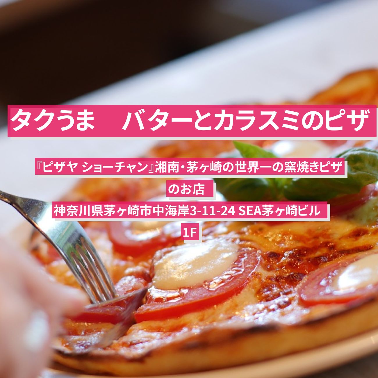 【タクうま】カラスミのピザ『ピザヤ ショーチャン』湘南・茅ヶ崎の世界一の窯焼きピザのお店  〔タクシー運転手さん一番うまい店に連れてって〕