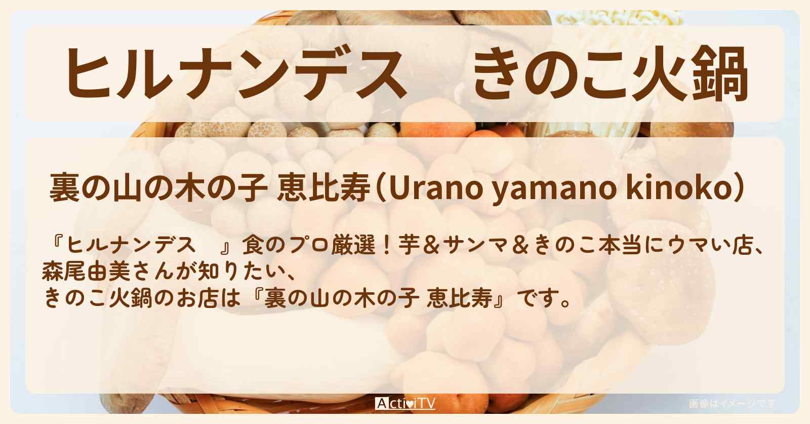 きのこ火鍋『裏の山の木の子 恵比寿』のお店情報〔森尾由美〕