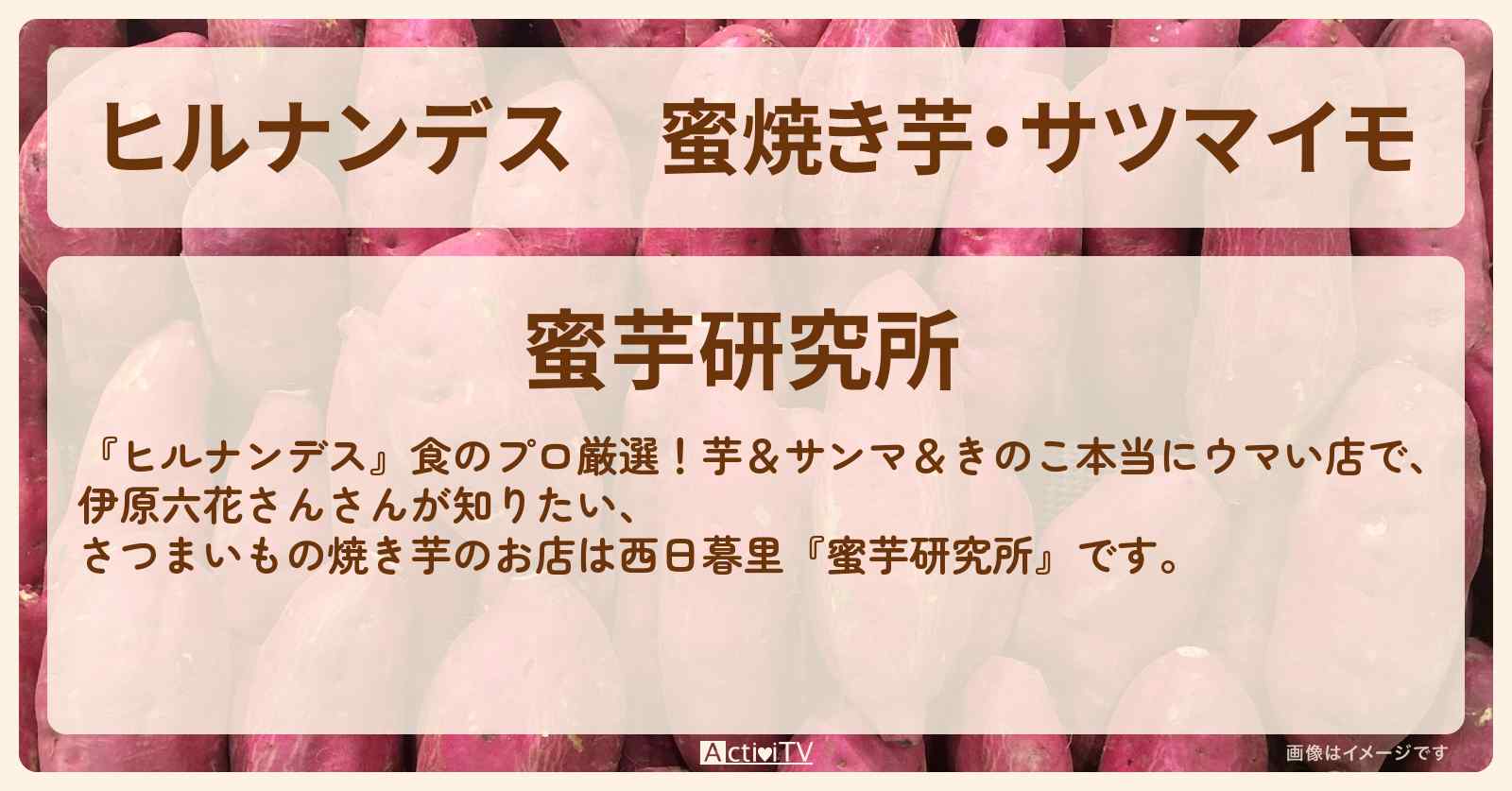 蜜焼き芋・サツマイモ『蜜芋研究所』西日暮里のお店情報〔伊原六花〕