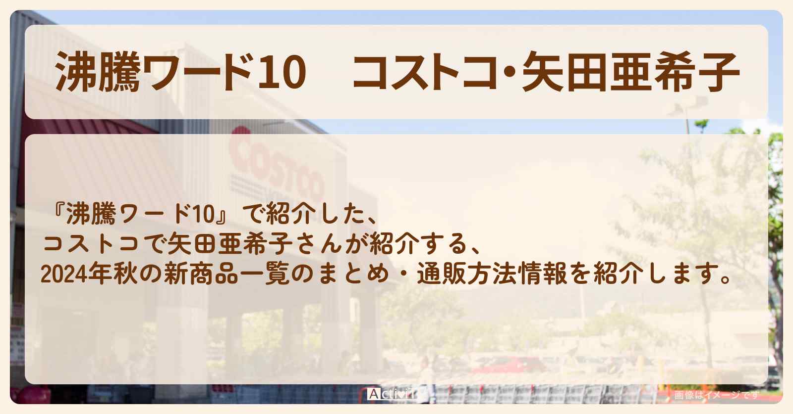コストコ・矢田亜希子　2024年秋の新商品一覧のまとめ・通販方法