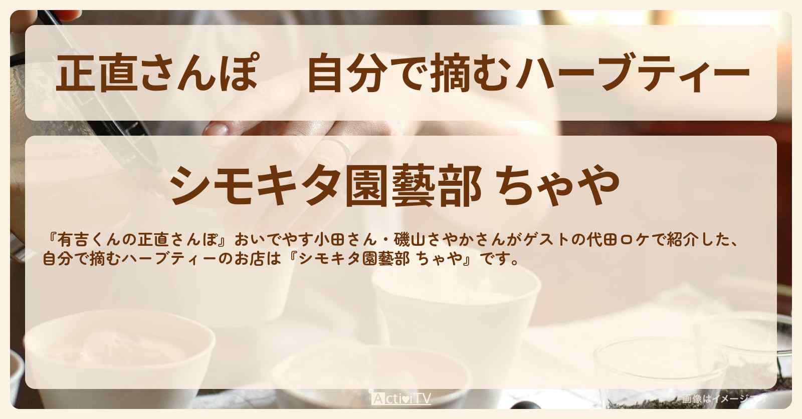 【正直さんぽ】自分で摘むハーブティー『シモキタ園藝部 ちゃや』代田のお店・ロケ地を紹介〔おいでやす小田・磯山さやか〕