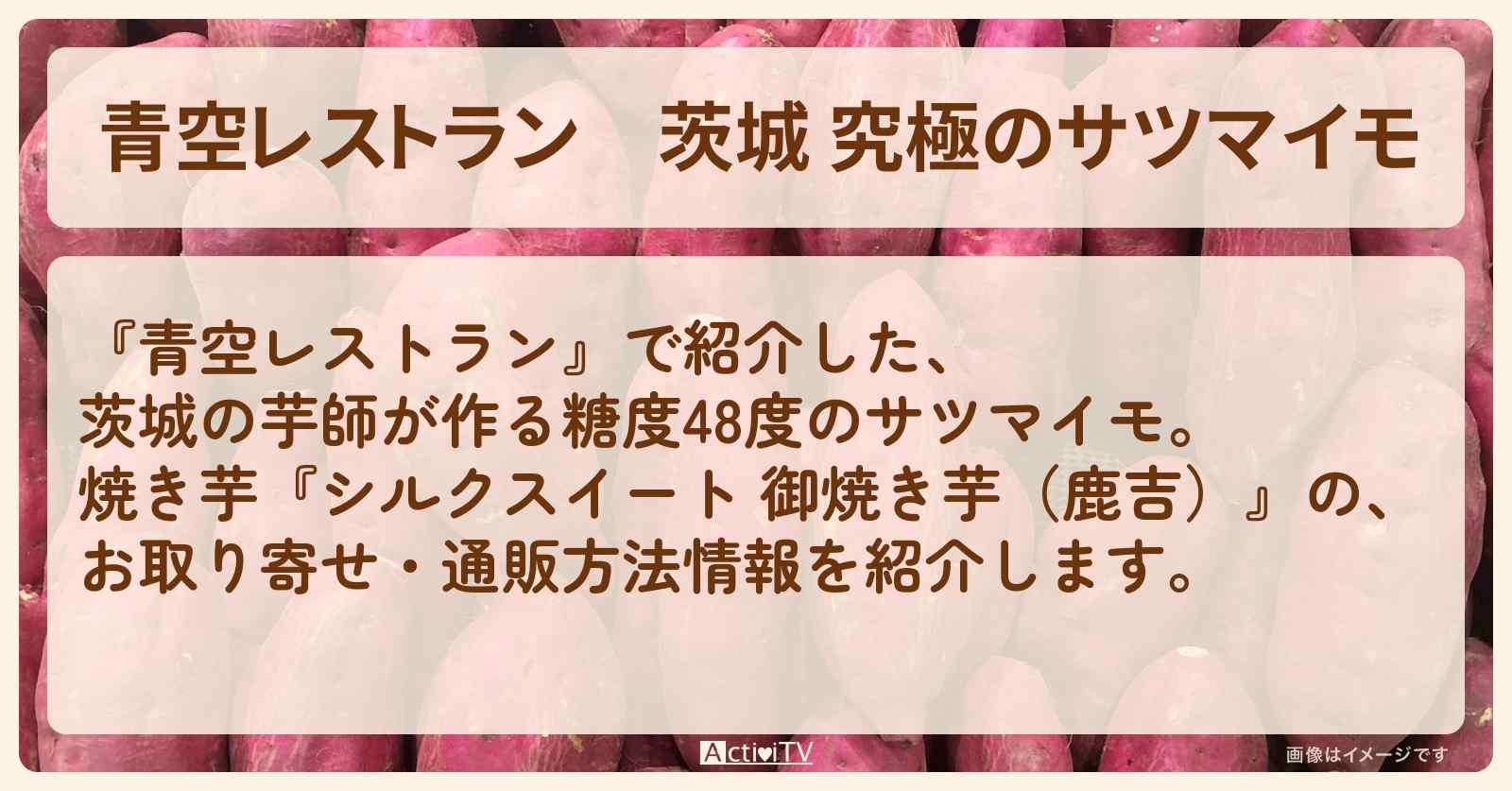 【青空レストラン】茨城 究極のサツマイモ『シルクスイート 御焼き芋（鹿吉）』のお取り寄せ・通販方法