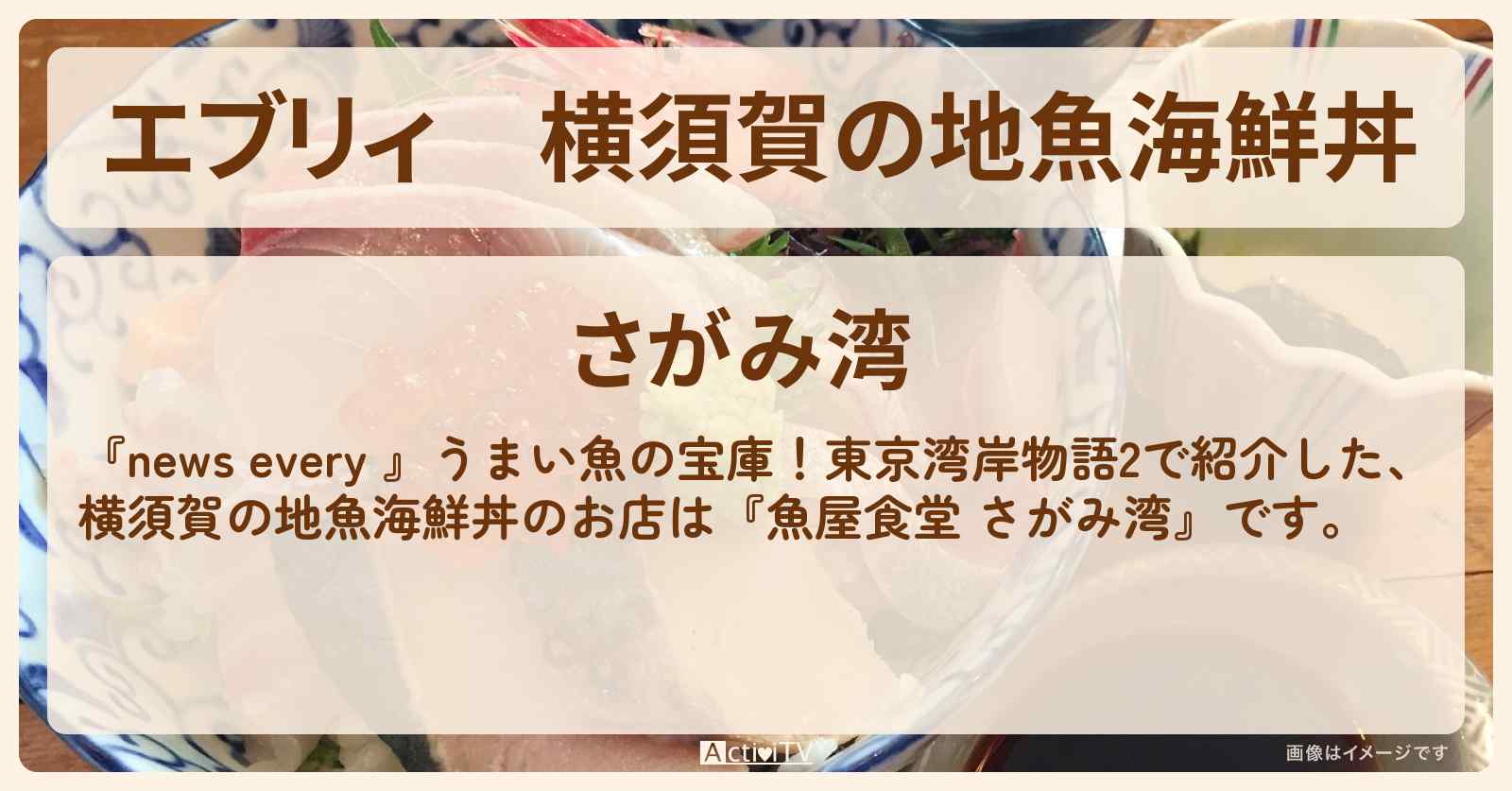 【エブリィ】横須賀の地魚海鮮丼『さがみ湾』のお店情報 #every