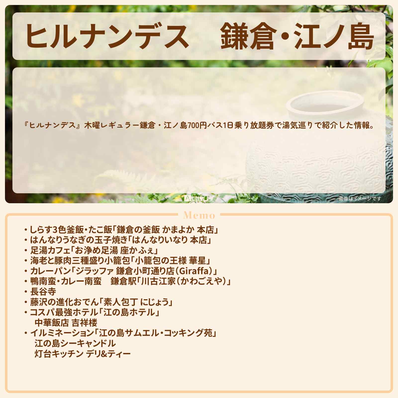 【ヒルナンデス】鎌倉・江ノ島『700円バス乗り放題』のロケ地・お店まとめ