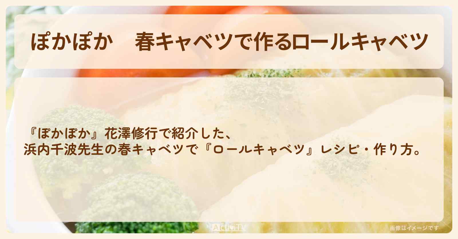 春キャベツで作る『ロールキャベツ』浜内千波先生のレシピ・作り方