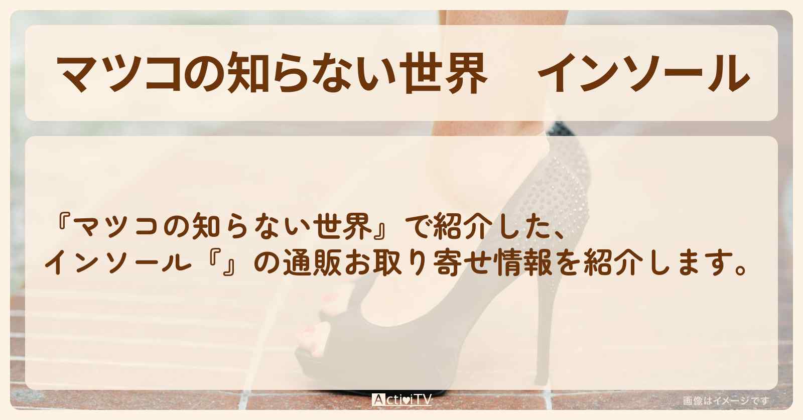 インソール『ナイガイ はかない靴下』の通販お取り寄せ