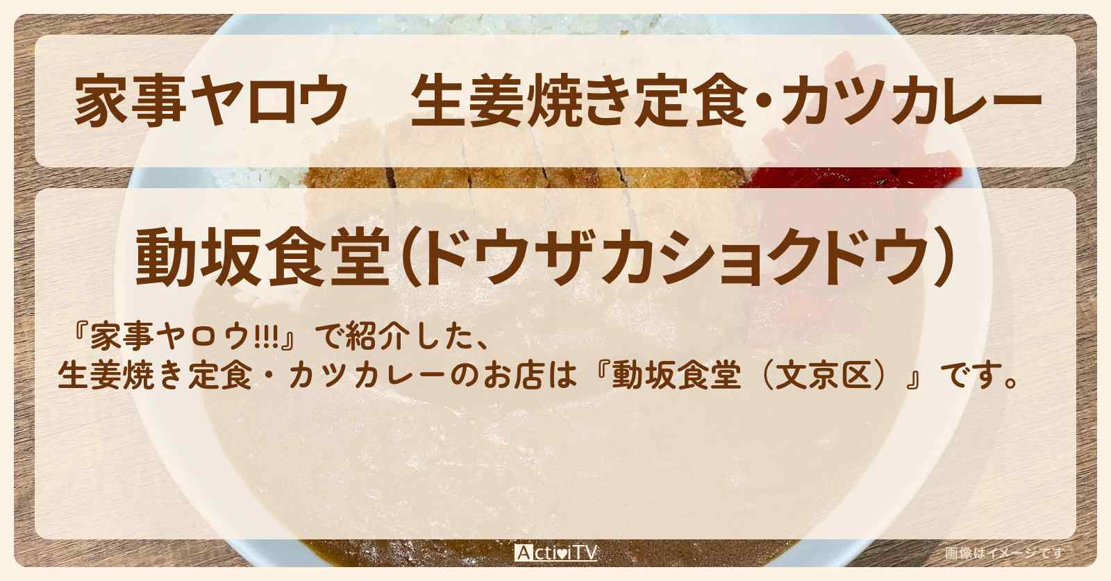【家事ヤロウ】生姜焼き定食・カツカレー『動坂食堂（文京区）』のお店情報
