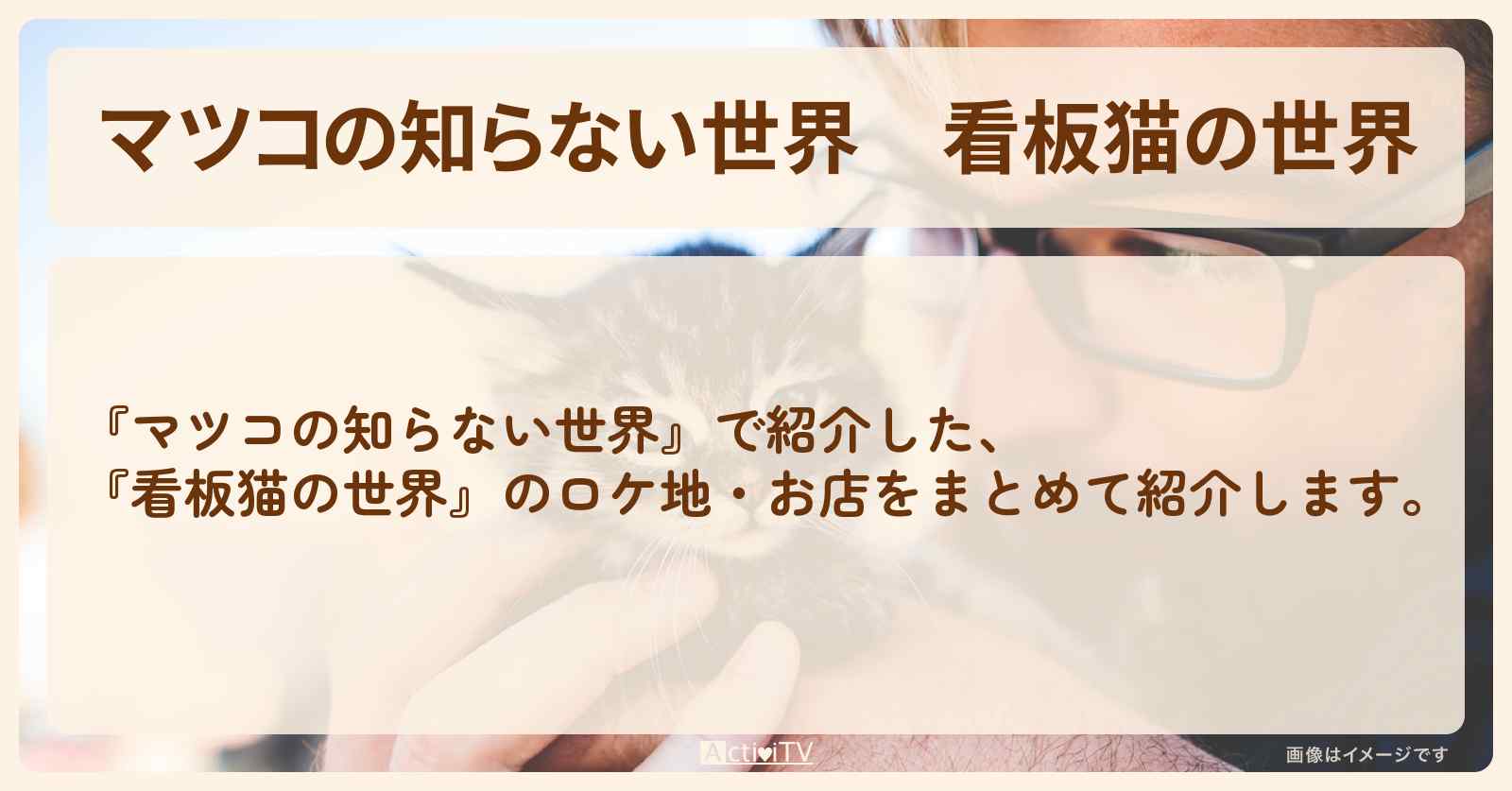 『看板猫の世界』お店のまとめ・ロケ地情報
