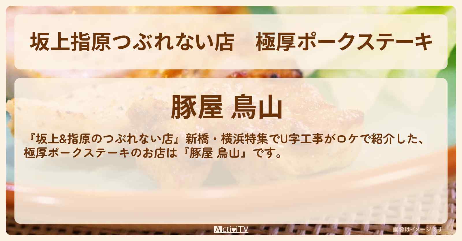 【坂上指原つぶれない店】極厚ポークステーキ『豚屋 鳥山』のお店の場所〔新橋〕