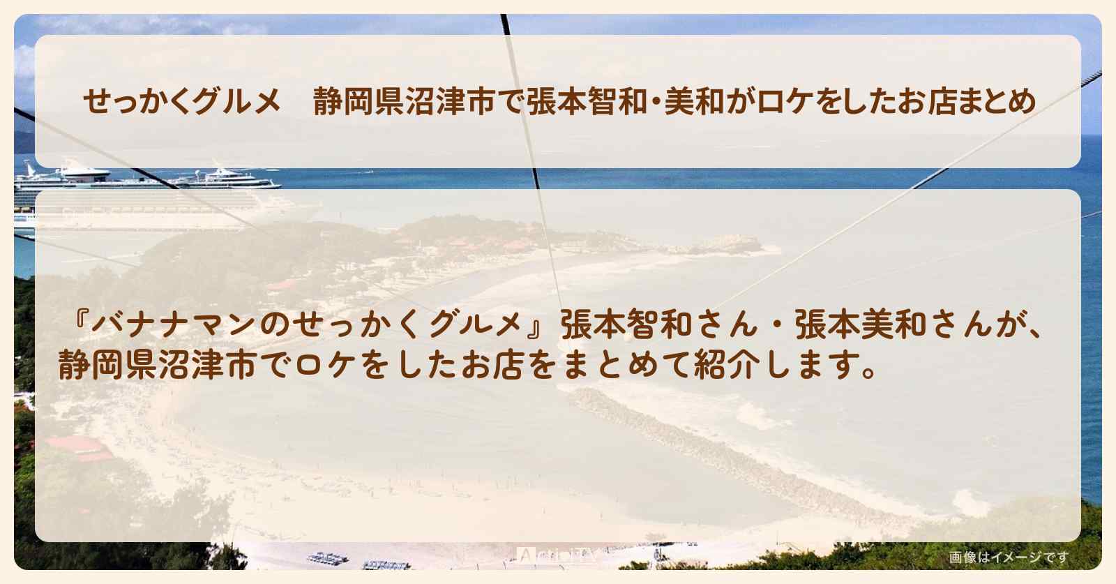 【せっかくグルメ】静岡県沼津市で張本智和・美和がロケをしたお店まとめ