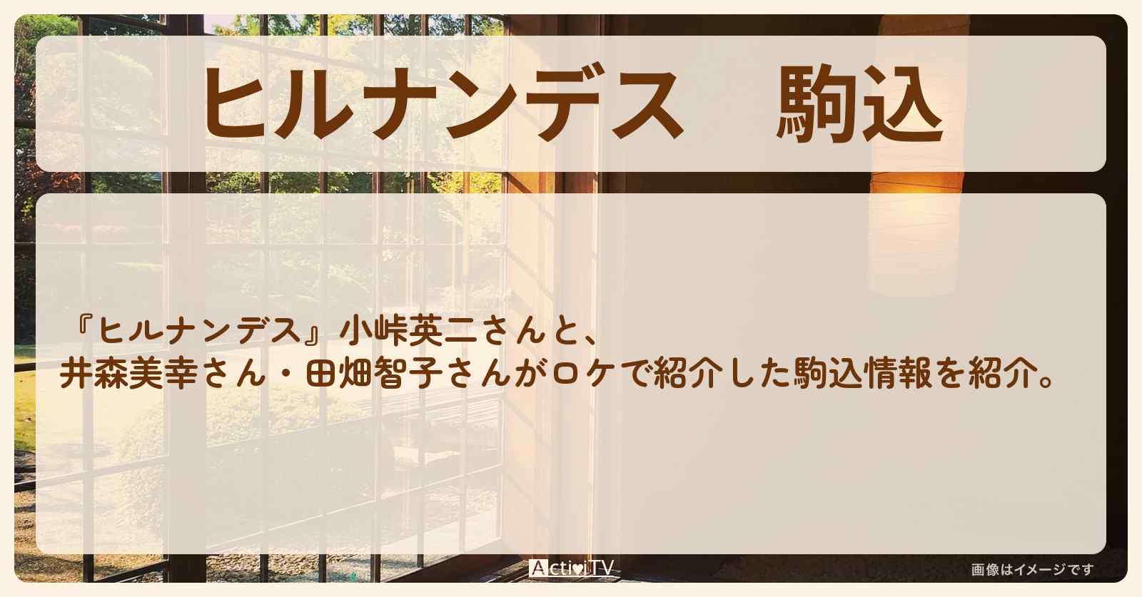 駒込『井森美幸・田畑智子 期間限定グルメ』のロケ地・お店まとめ