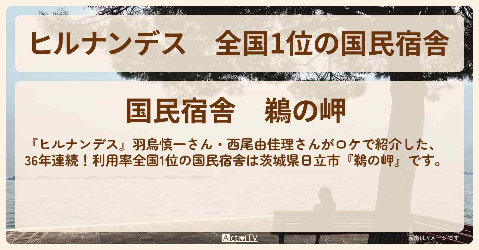 全国1位の国民宿舎『鵜の岬』茨城県日立市の宿泊・情報
