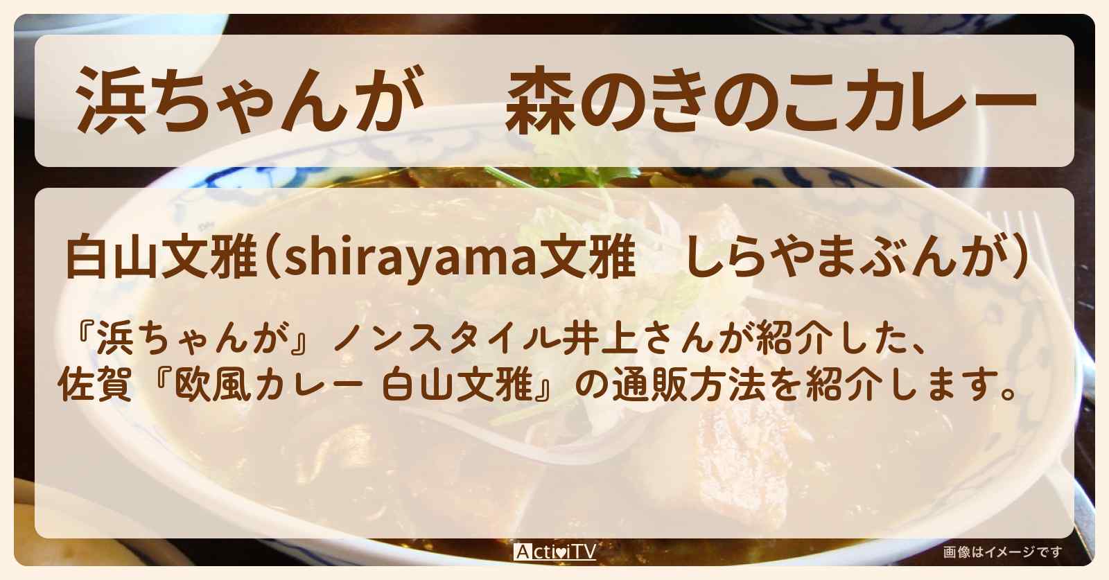 【浜ちゃんが】森のきのこカレー ノンスタイル井上『欧風カレー 白山文雅』佐賀県佐賀市の通販方法〔芸能人お取り寄せグルメ〕