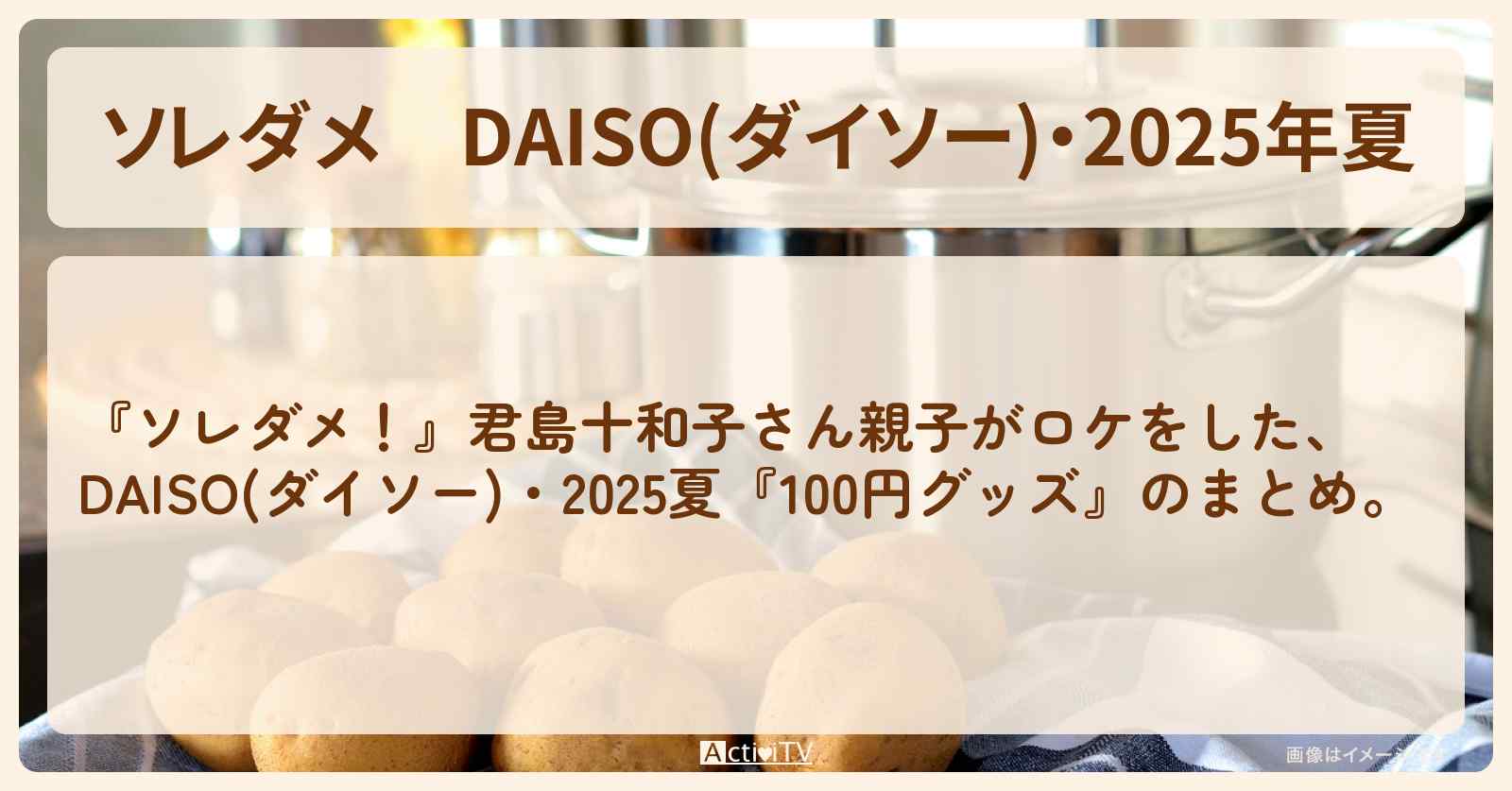 【ソレダメ】DAISO(ダイソー)・2025年夏『100円グッズ』のまとめ通販お取り寄せ情報〔君島十和子〕