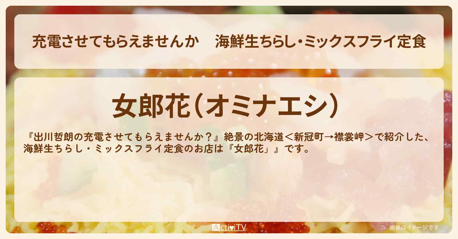 【充電させてもらえませんか】海鮮生ちらし・ミックスフライ定食『女郎花」』北海道様似町のお店の場所〔パンサー尾形〕