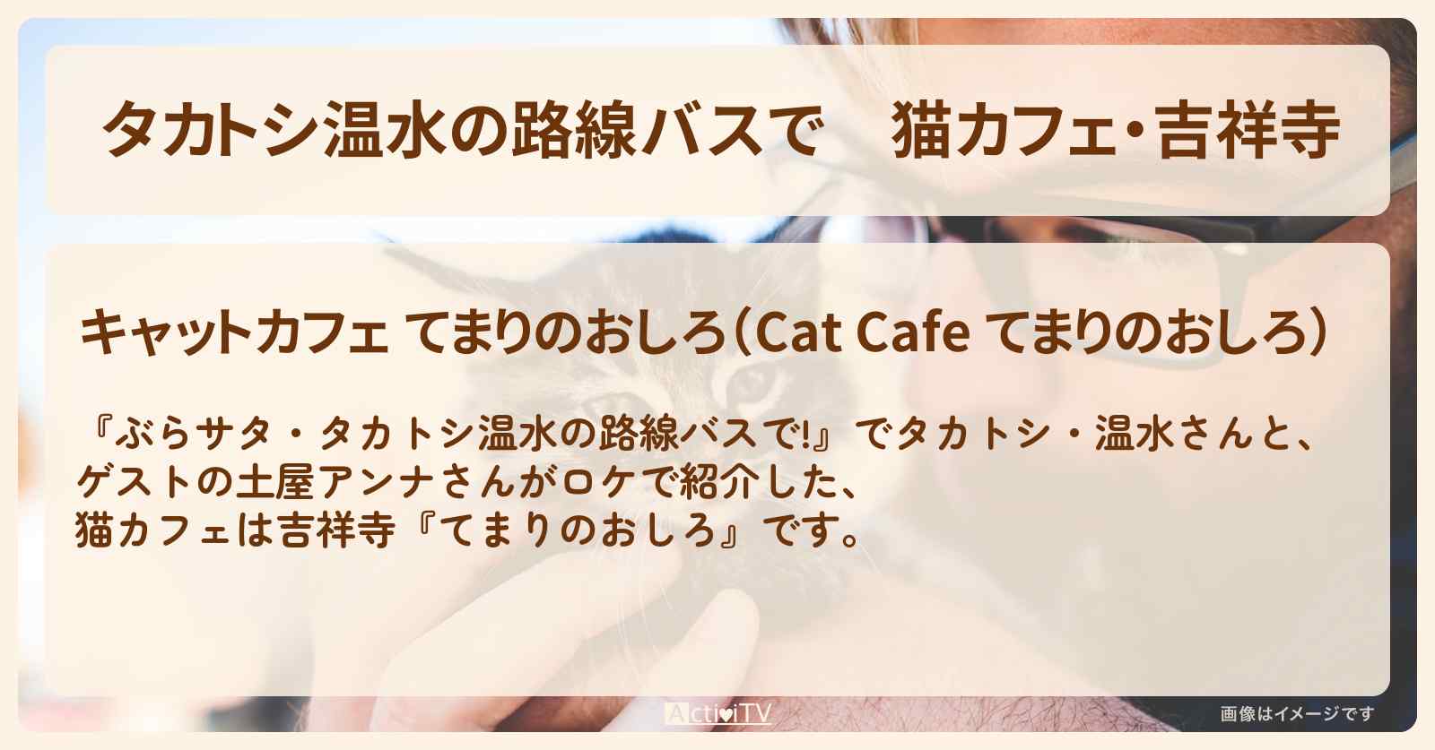 【タカトシ温水の路線バスで】猫カフェ・吉祥寺『てまりのおしろ』のお店の場所〔土屋アンナ〕