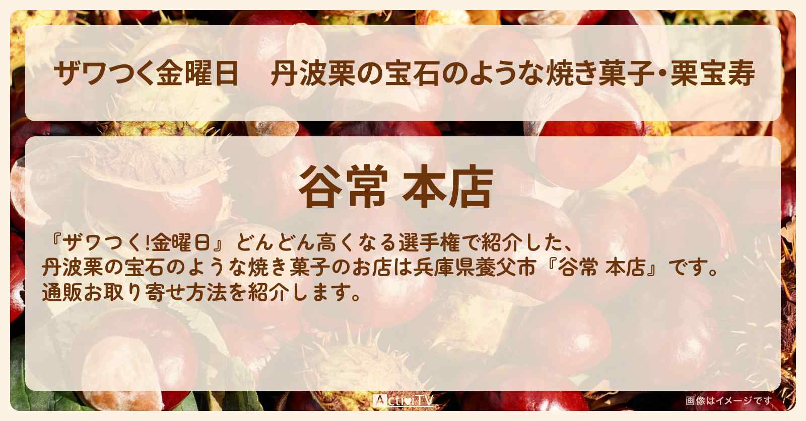 【ザワつく金曜日】丹波栗の宝石のような焼き菓子・栗宝寿『谷常 本店』栗スイーツのお店・通販お取り寄せ情報