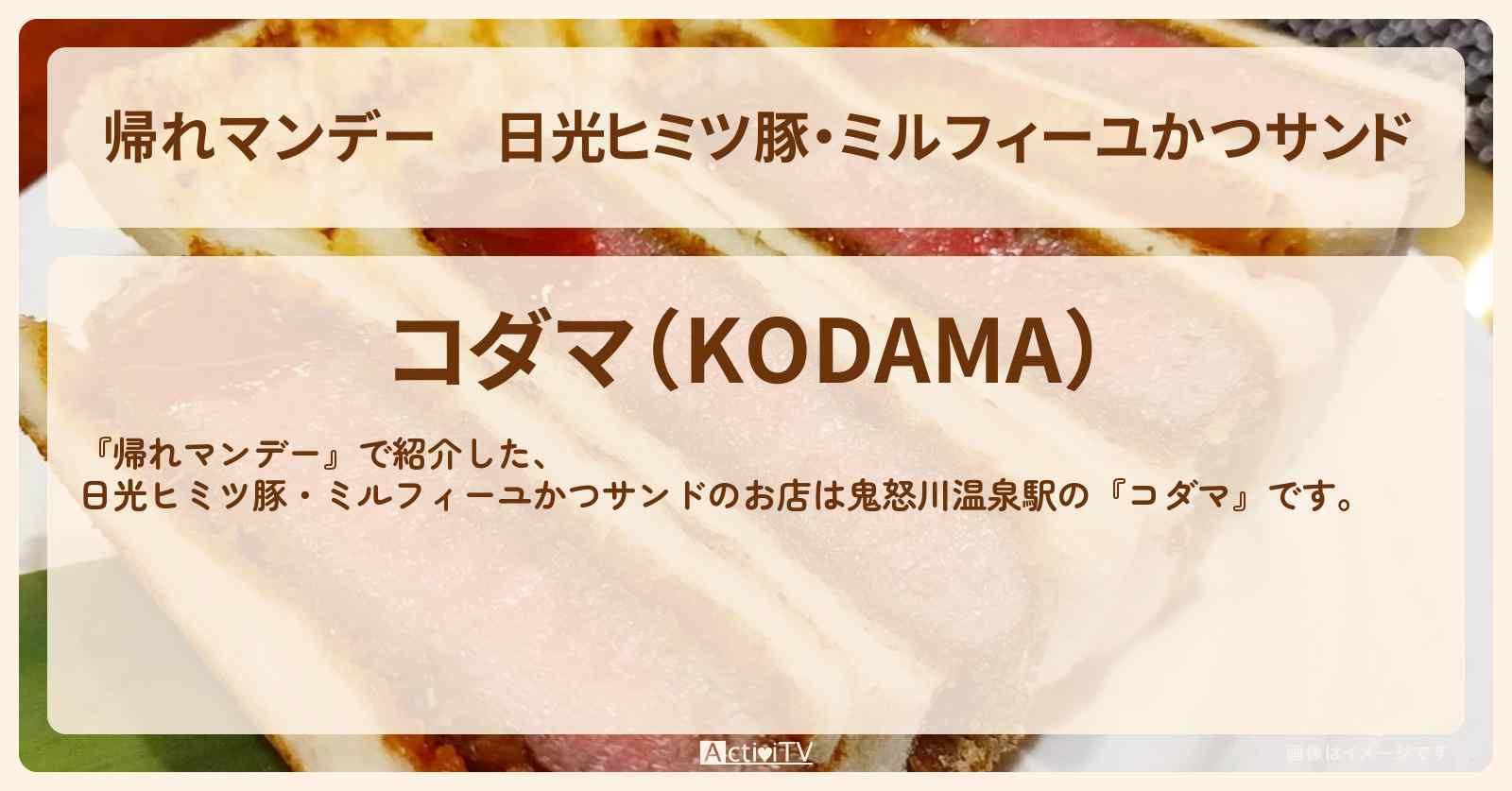 日光ヒミツ豚・ミルフィーユかつサンド『コダマ』日光鬼怒川のお店〔高橋克典・中岡創一〕