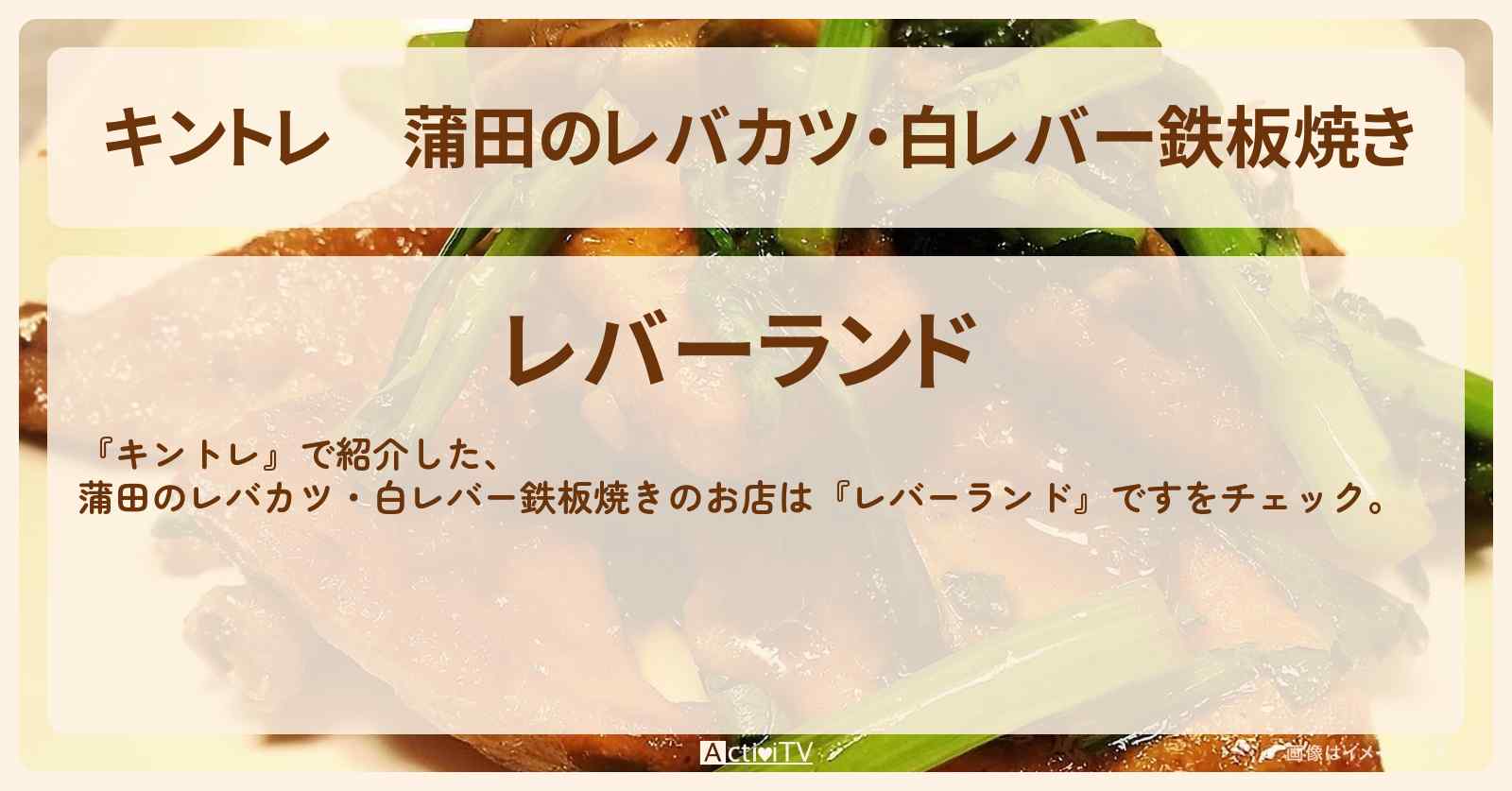 蒲田のレバカツ・白レバー鉄板焼き『レバーランド』レバー専門店のお店の場所