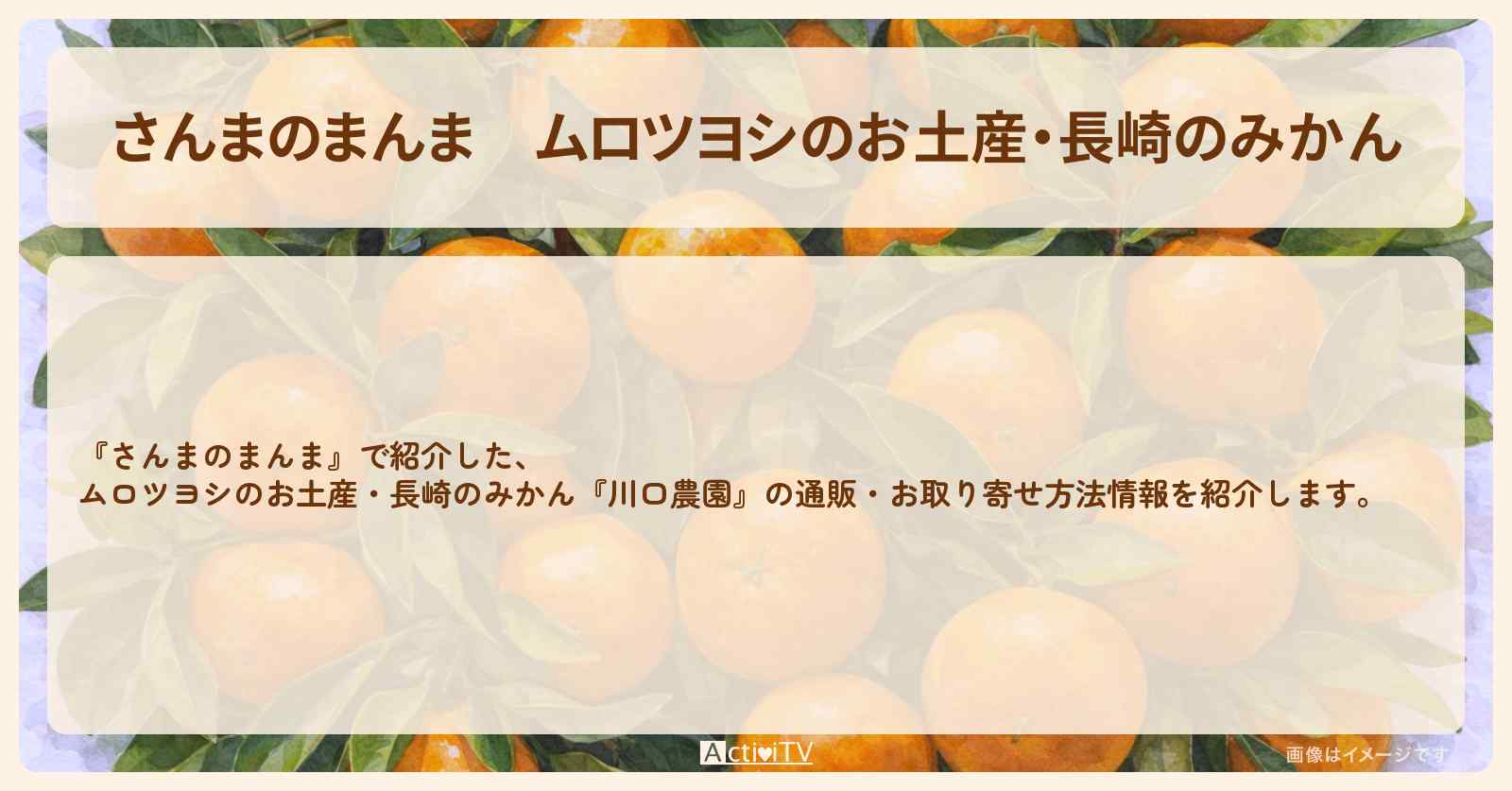【さんまのまんま】ムロツヨシのお土産・長崎のみかん『川口農園』の通販・お取り寄せ方法