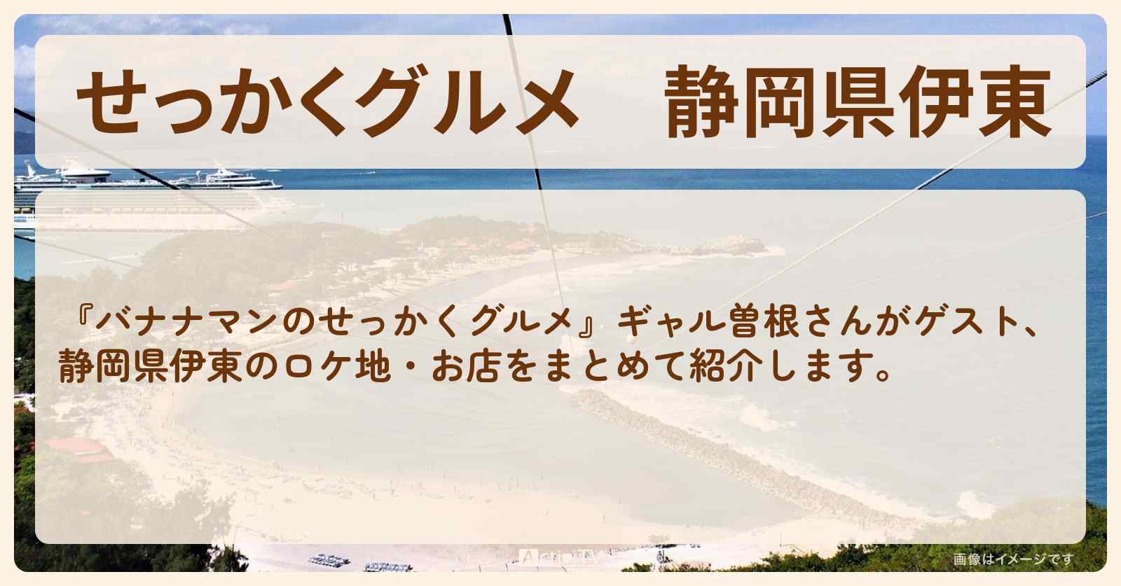 【せっかくグルメ】静岡県伊東『ギャル曽根』がロケをしたお店まとめ