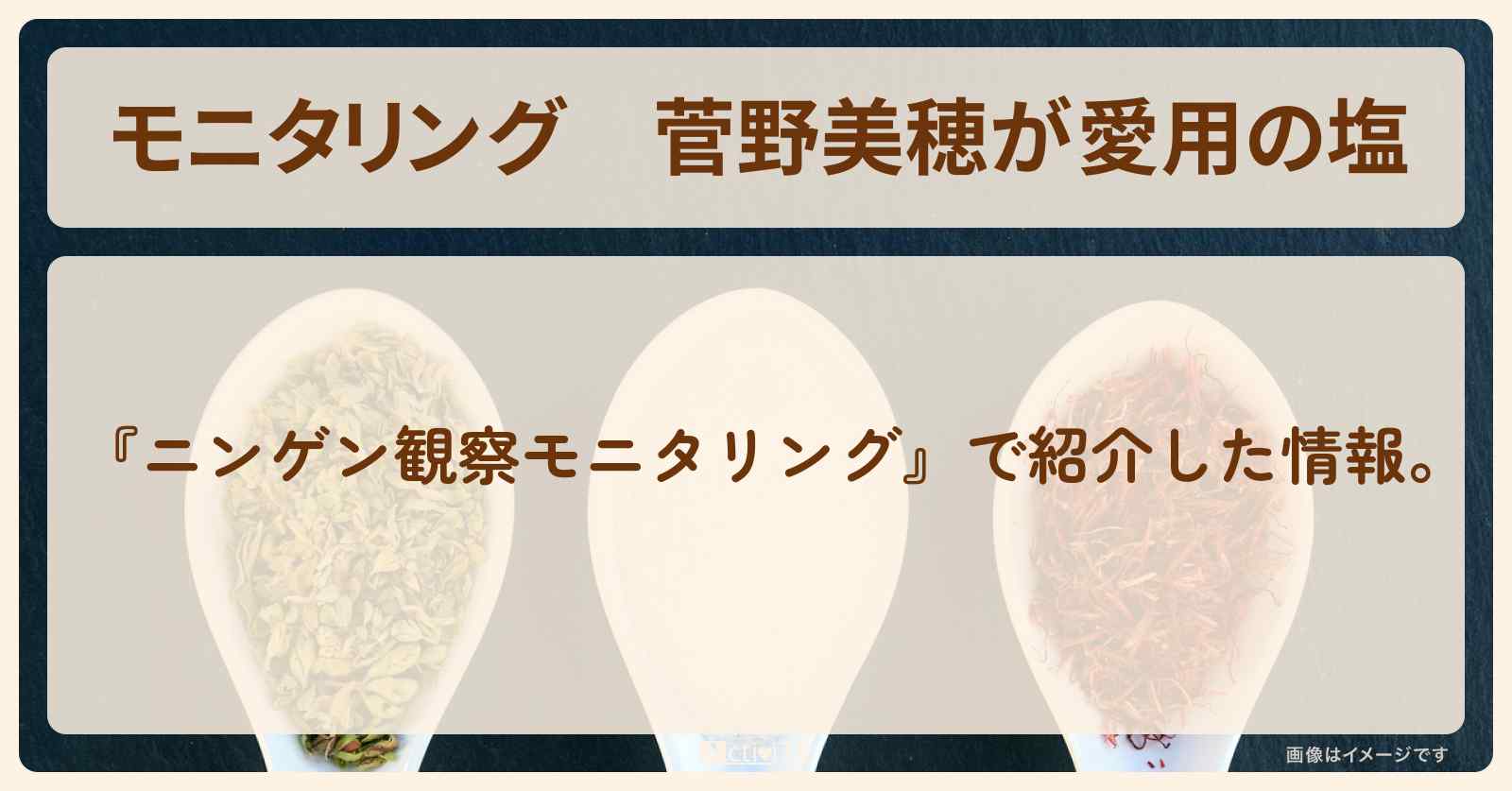 【モニタリング】菅野美穂が愛用の塩『やべぇ旨い塩』の通販お取り寄せ情報