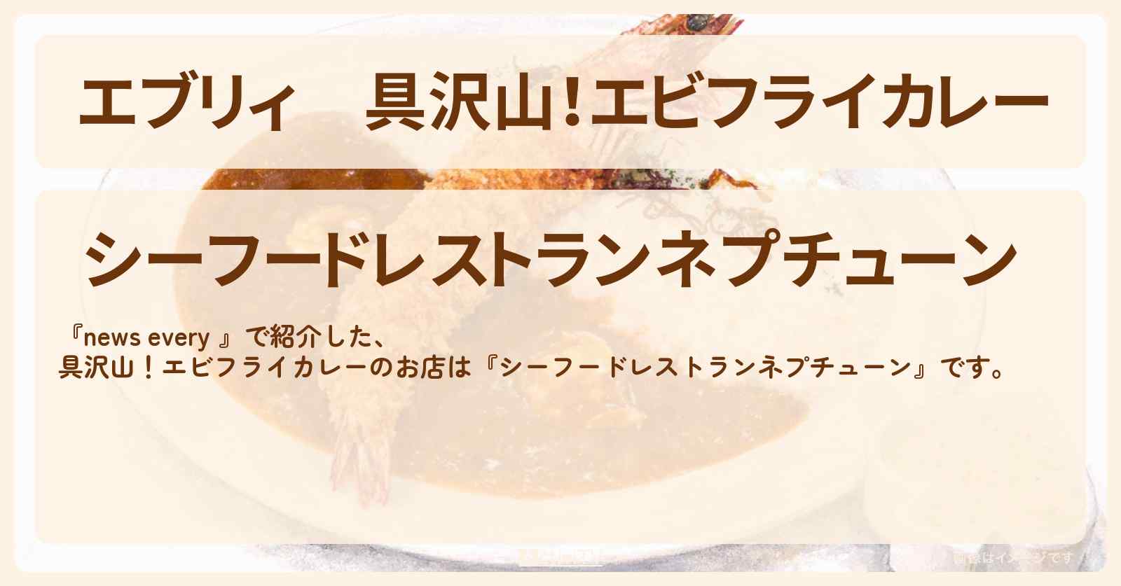 【エブリィ】具沢山！エビフライカレー『シーフードレストランネプチューン』江東区東雲の大盛りではない仰天！具だくさんなお店情報 #every