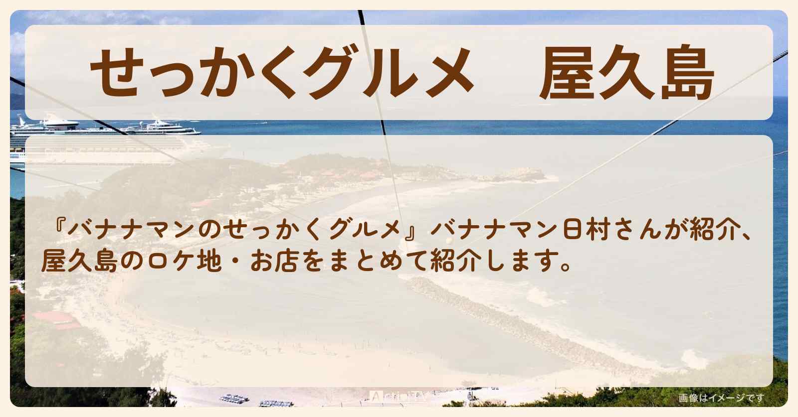 【せっかくグルメ】屋久島『日村さん』がロケをしたお店まとめ