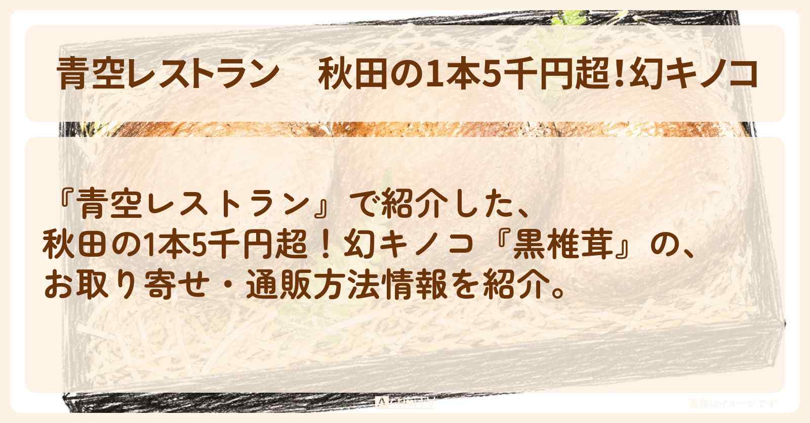 【青空レストラン】秋田の1本5千円超！幻キノコ『黒椎茸』のお取り寄せ・通販方法〔藤井隆〕