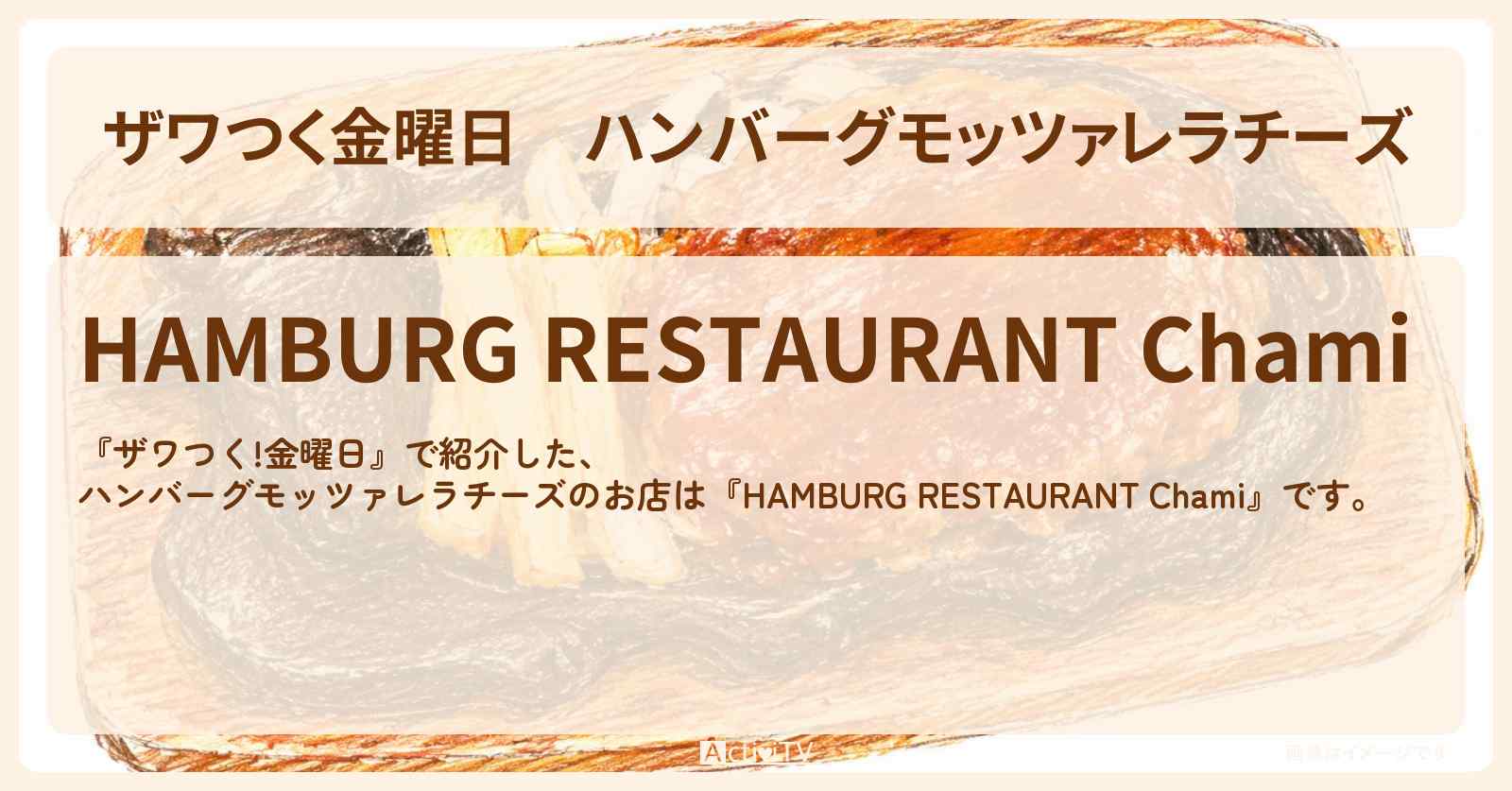 【ザワつく金曜日】ハンバーグモッツァレラチーズ『HAMBURG RESTAURANT Chami』錦糸町のお店の場所
