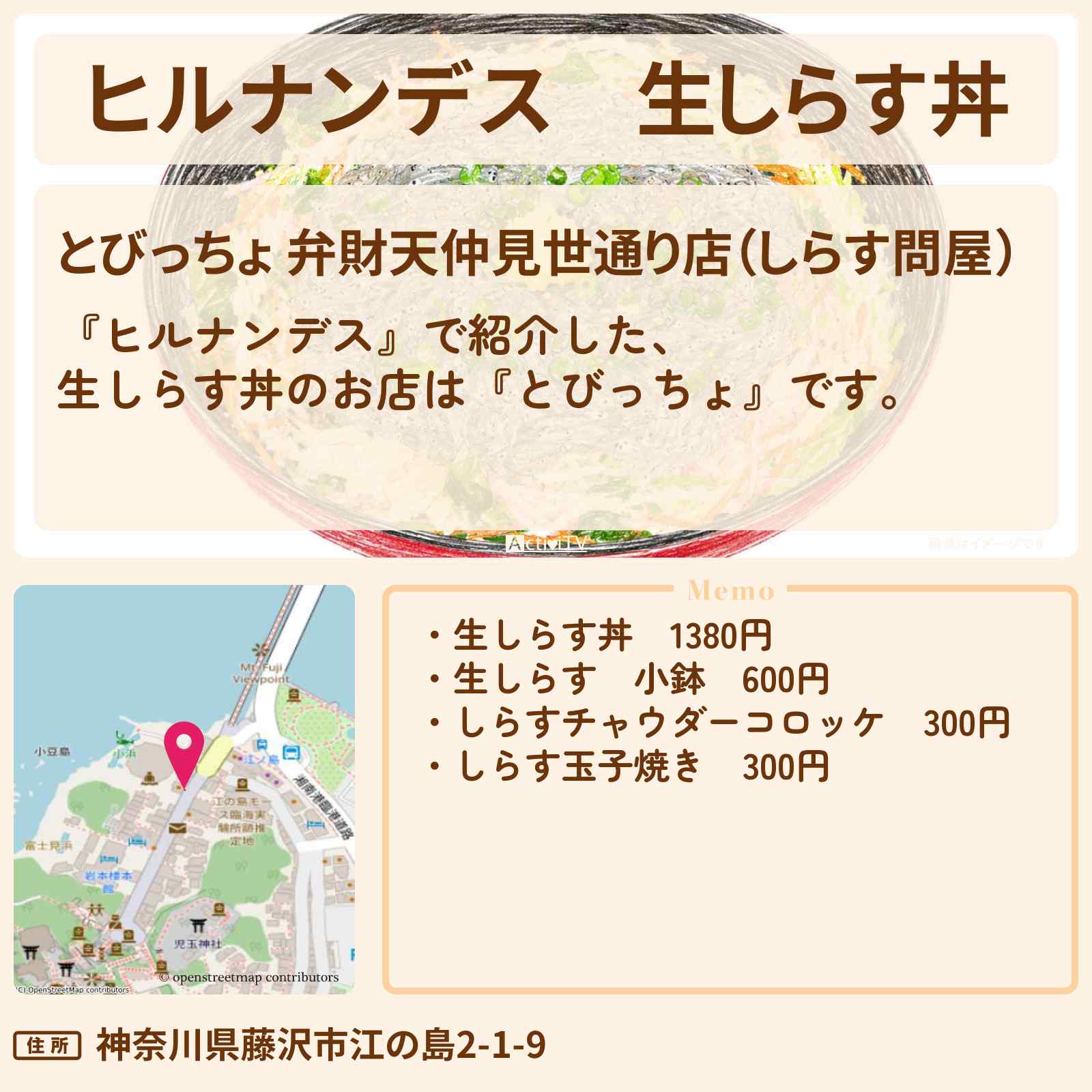 【ヒルナンデス】生しらす丼『とびっちょ』鎌倉&江ノ島のお店情報〔羽鳥慎一・井森美幸・銀シャリ橋本〕